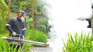 Best Mosquito Control  in Lakeview, WA